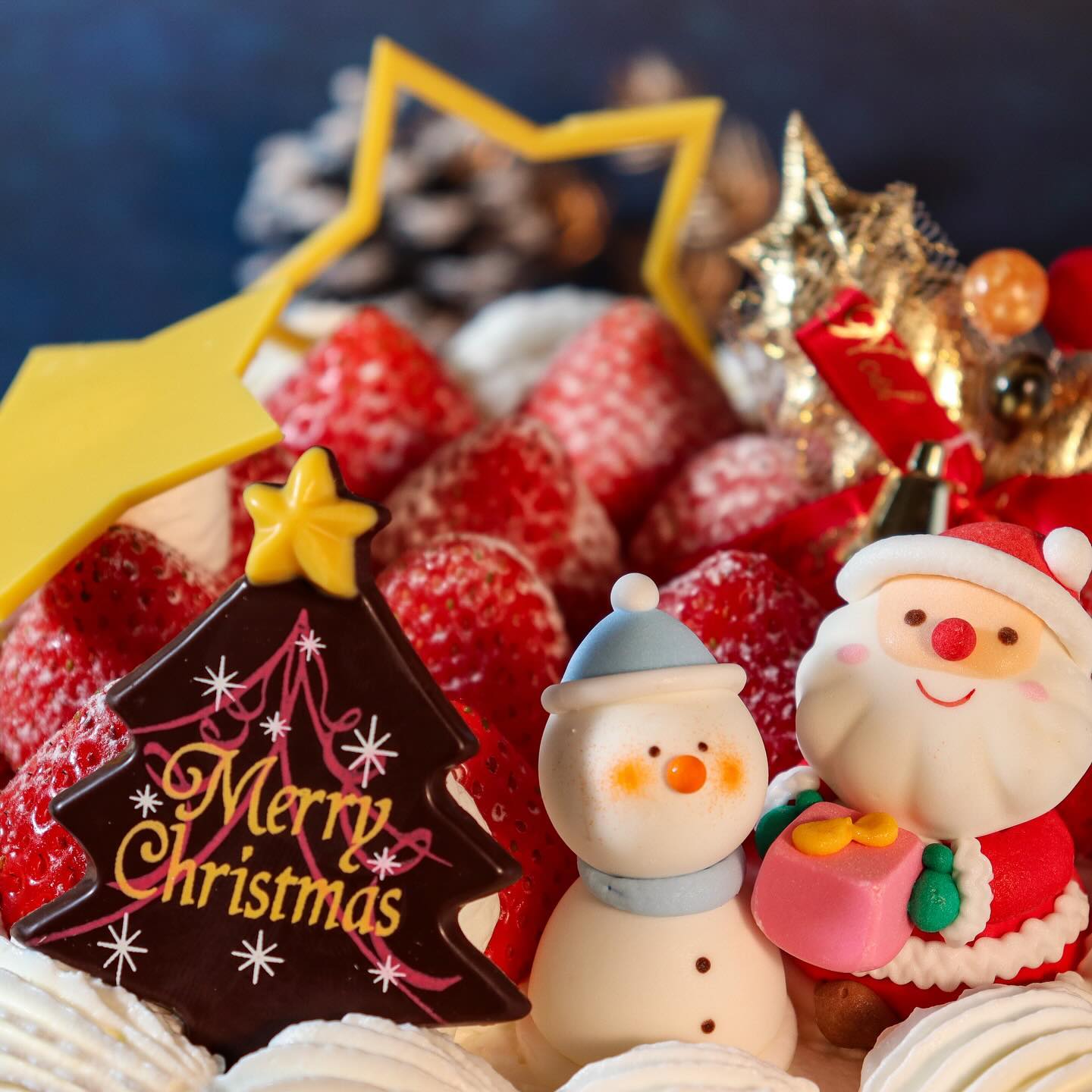 クリスマスケーキNO.3

Xmasスペシャル
デコレーション

6 号 (18cm) 限定400台
¥5,100( 税込 ¥5,508)

生クリームデコレーションをベースに 
厚切りにした完熟苺をサンドしました。 
ふんだんに飾った丸ごとの苺と
チョコレー トの飾りが華やかさを
演出します。 
ワンランク上のクリスマスケーキを
ご堪能ください。